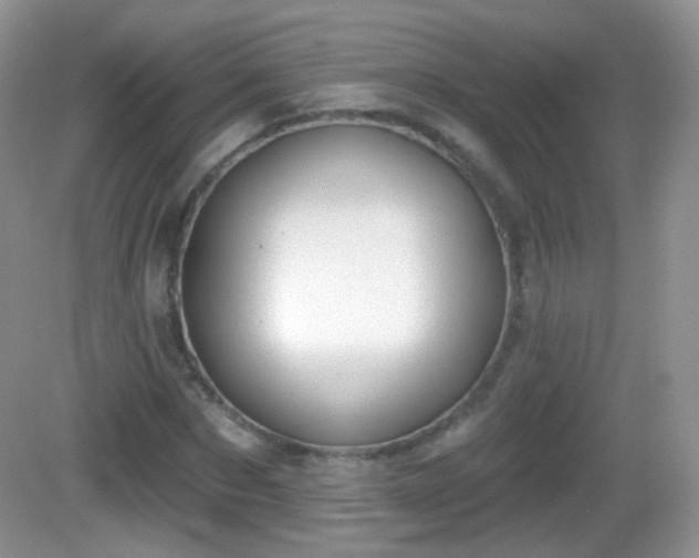 X0000082680873200702021224