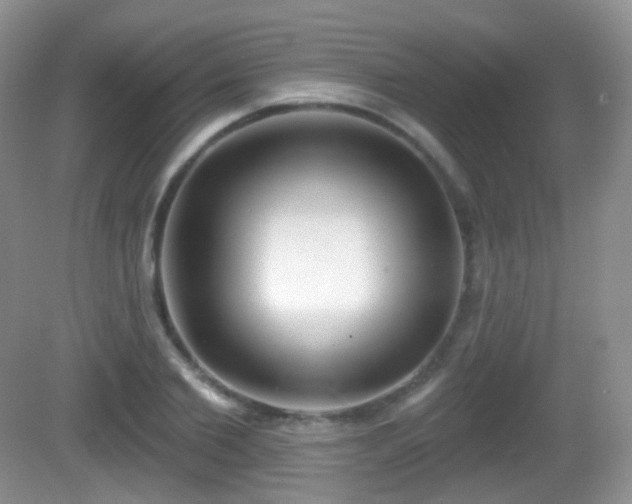 X0000082680885200702021224