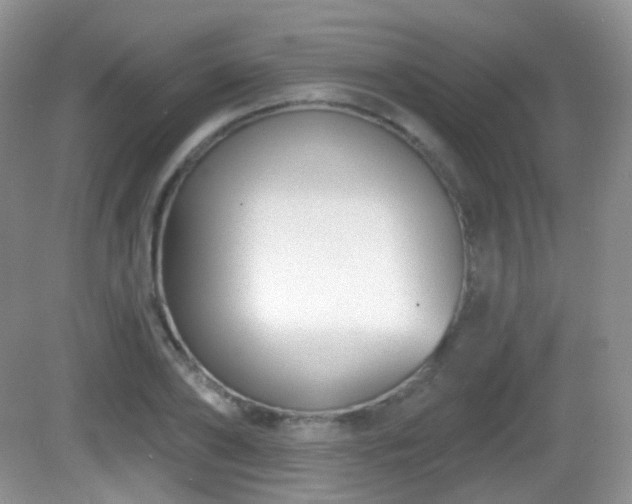 X0000082680886200702021224