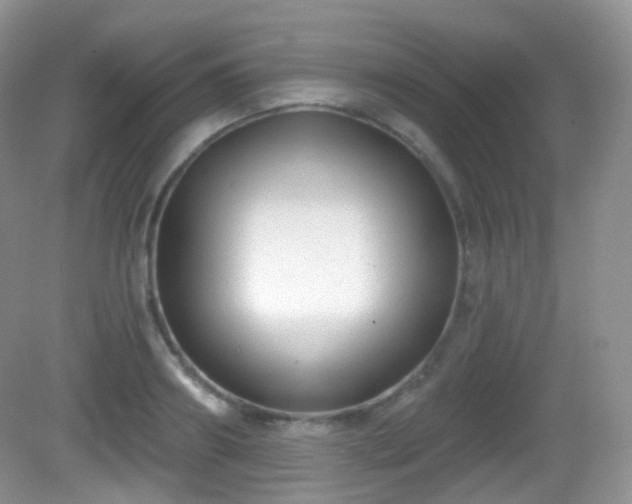 X0000082680890200702021224