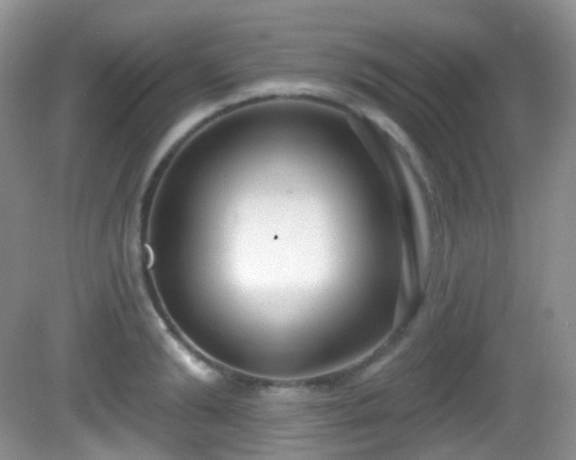X0000082680894200702021223