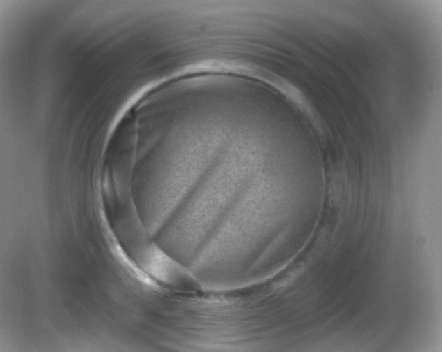 X0000082680896200702021223