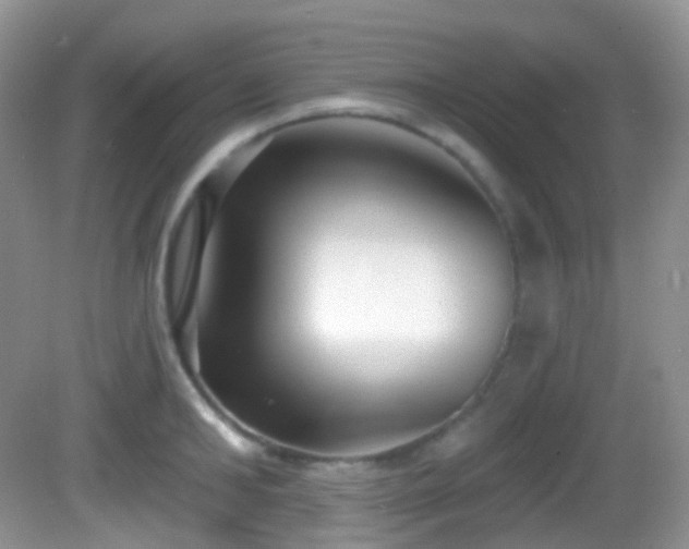 X0000082680902200702021223