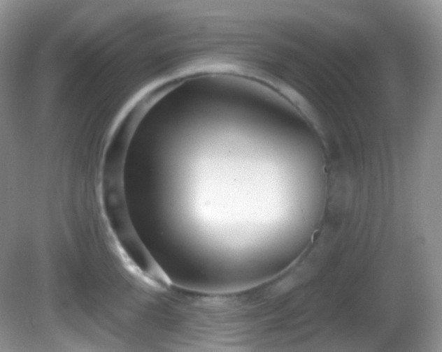 X0000082680904200702021223