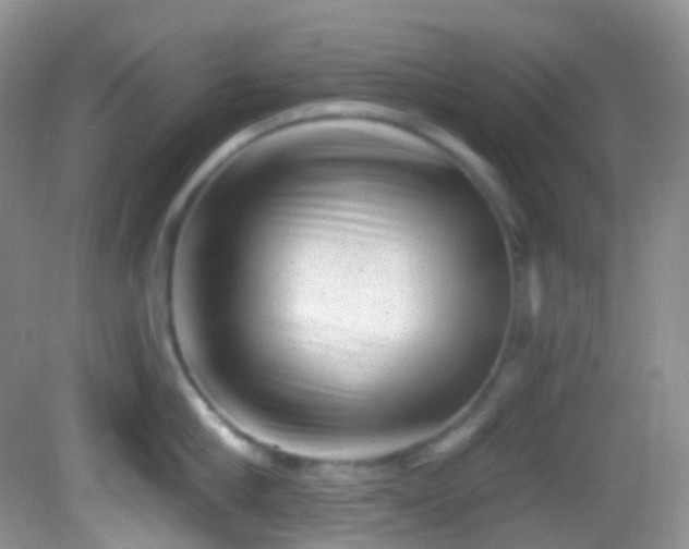 X0000082680910200702021223