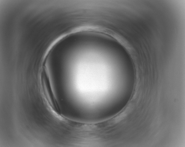 X0000082680912200702021223