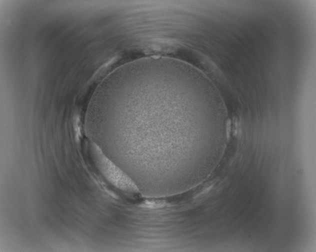 X0000082680915200702021222