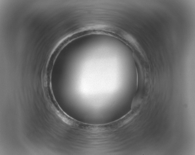 X0000082680924200702021223