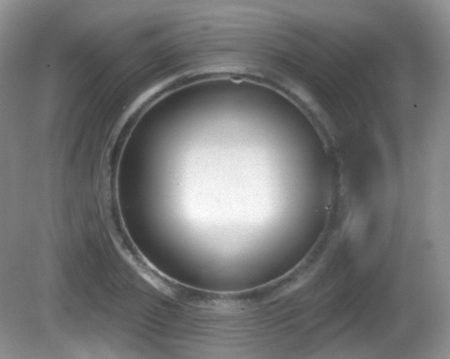 X0000082680933200702021223