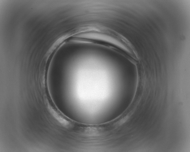 X0000082680938200702021223