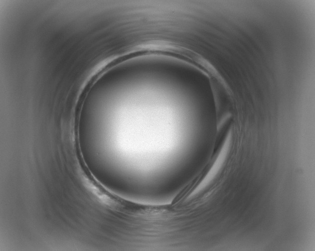 X0000082680939200702021223