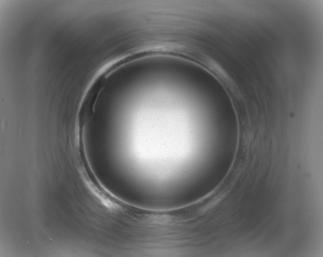 X0000082680940200702021223