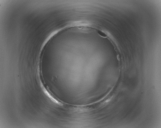 X0000082680941200702021223