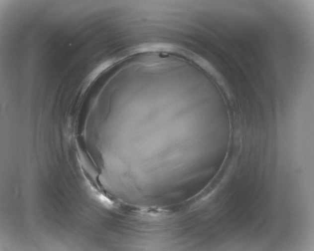 X0000082680945200702021223