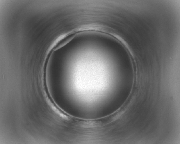 X0000082680949200702021223