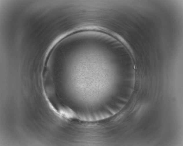 X0000082680951200702021223