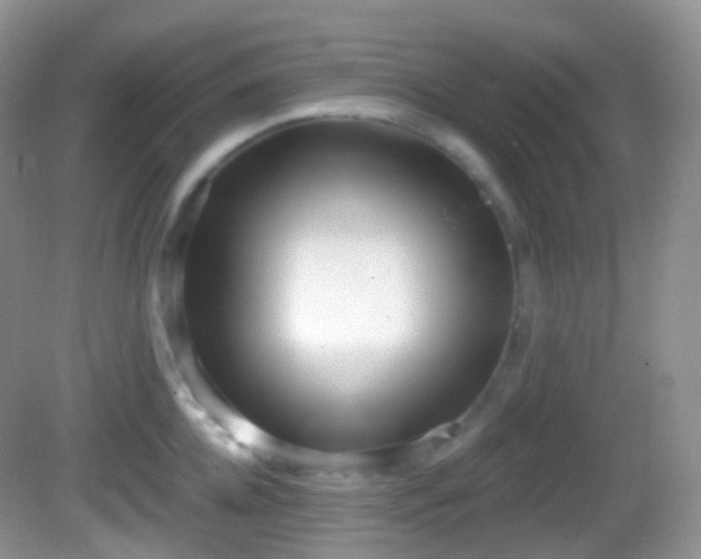X0000082680952200702021223