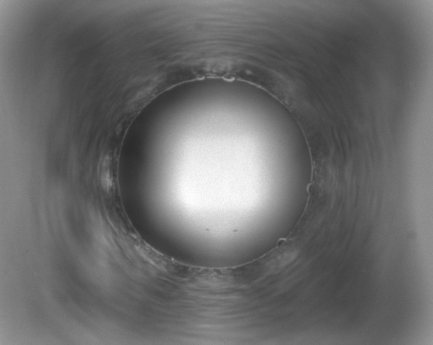 X0000082680962200702021222
