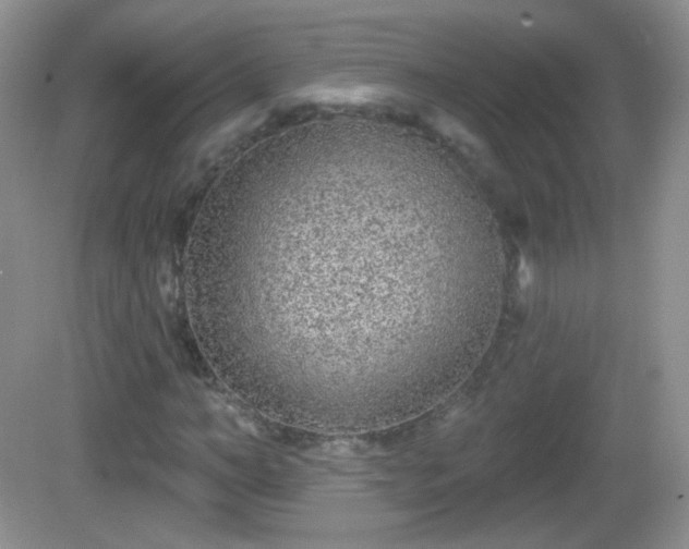 X0000082680966200702021222