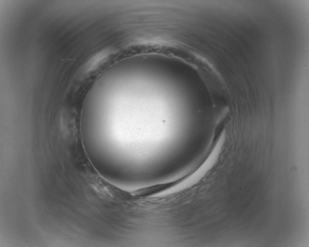X0000082680968200702021222