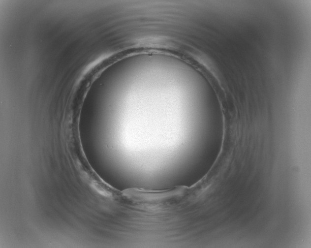 X0000082680971200702021222