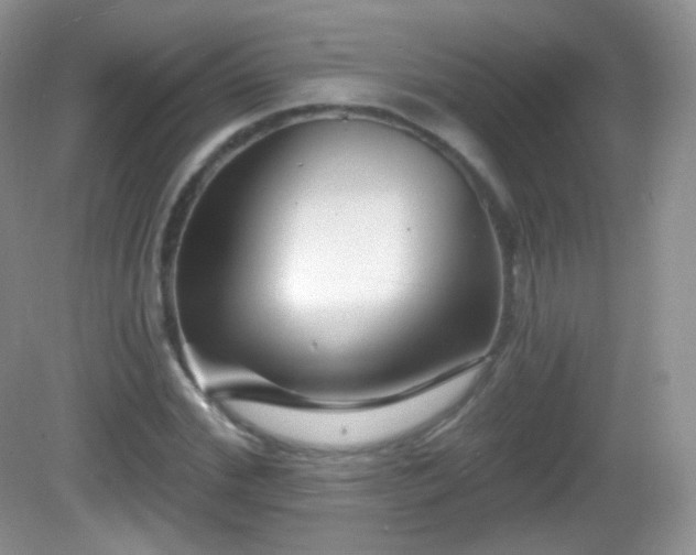 X0000082680972200702021222