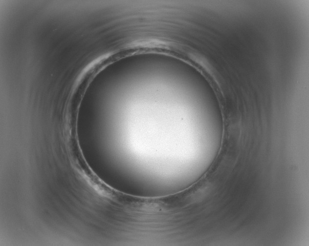 X0000082680979200702021222