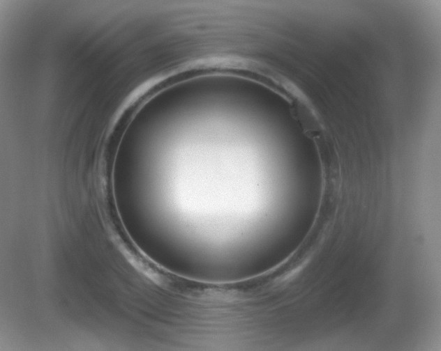 X0000082680981200702021222