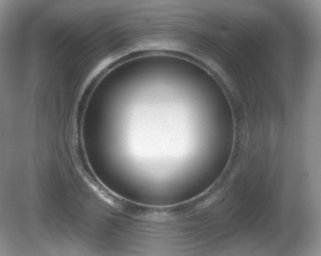 X0000082680982200702021222