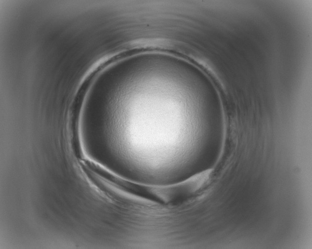 X0000082680983200702021222