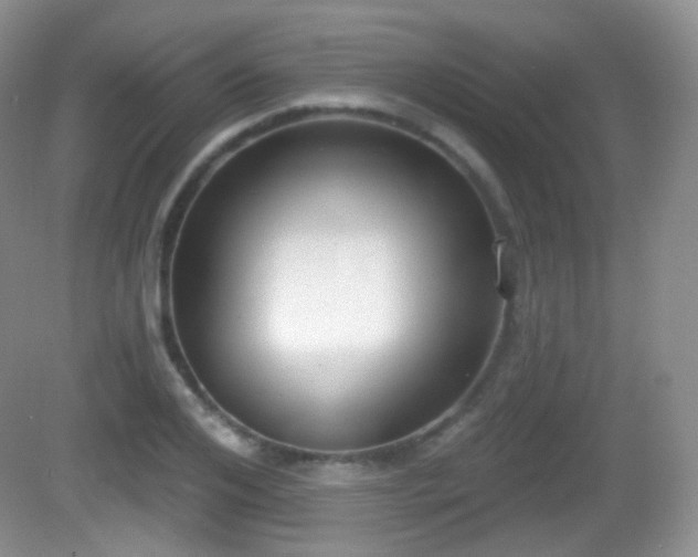 X0000082680984200702021222
