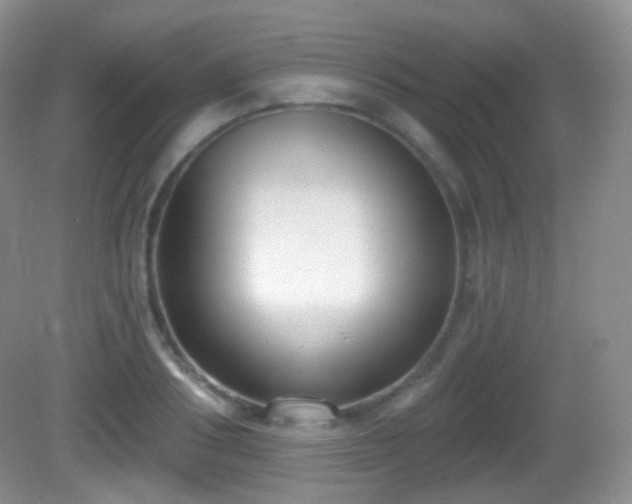 X0000082680986200702021222