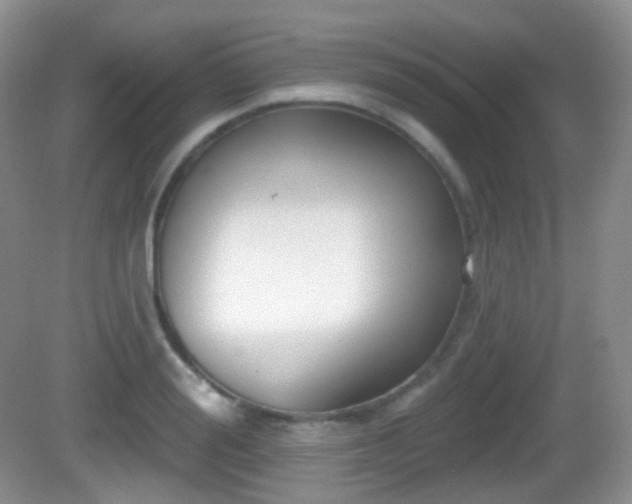 X0000082680988200702021222