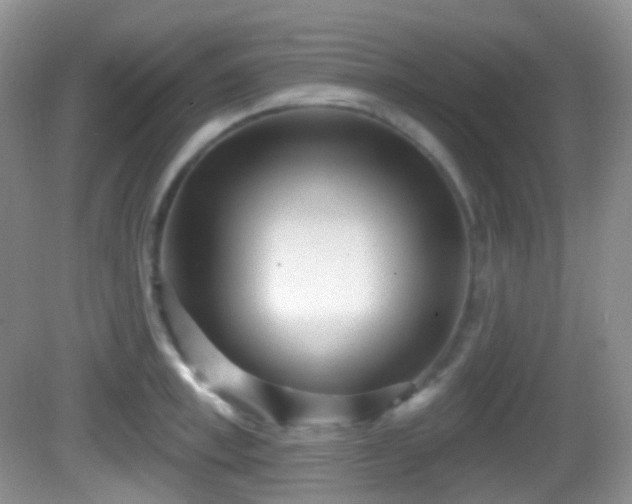 X0000082680997200702021222