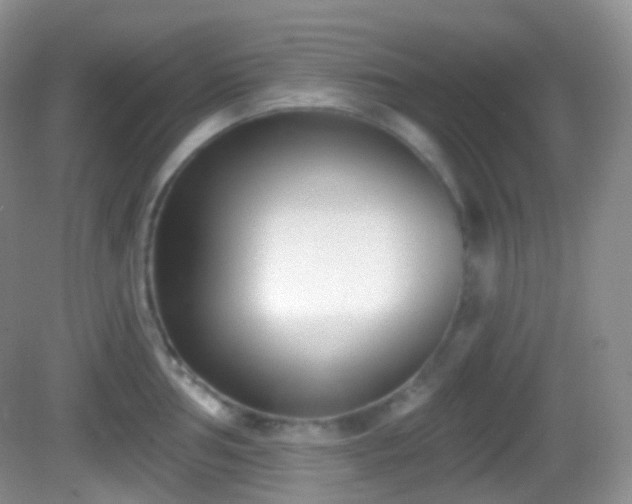 X0000082681002200702021222