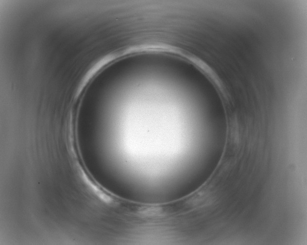 X0000082681006200702021222