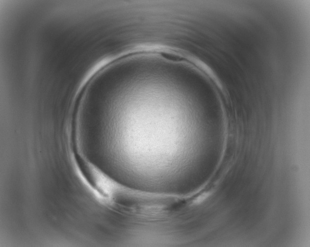 X0000082681007200702021222