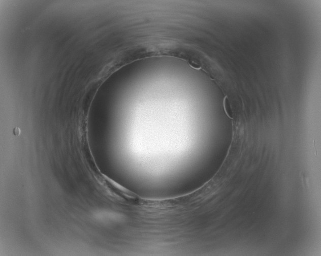 X0000082681012200702021221