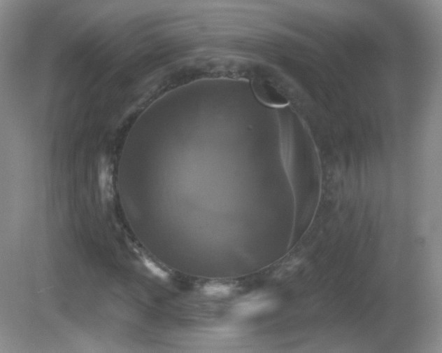 X0000082681013200702021221