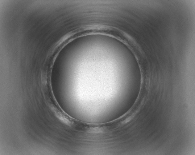 X0000082681017200702021221