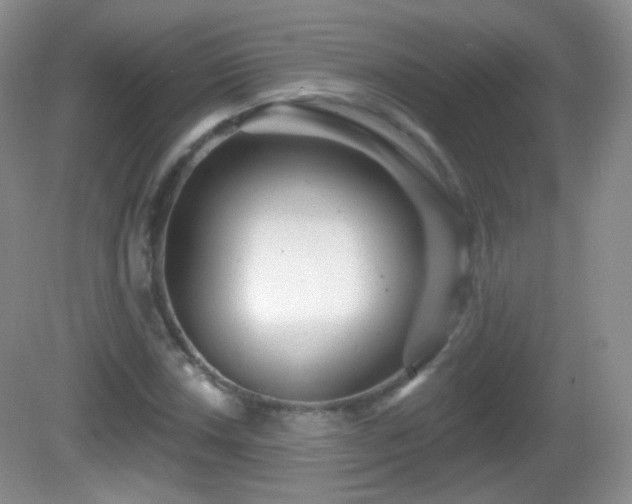 X0000082681018200702021221