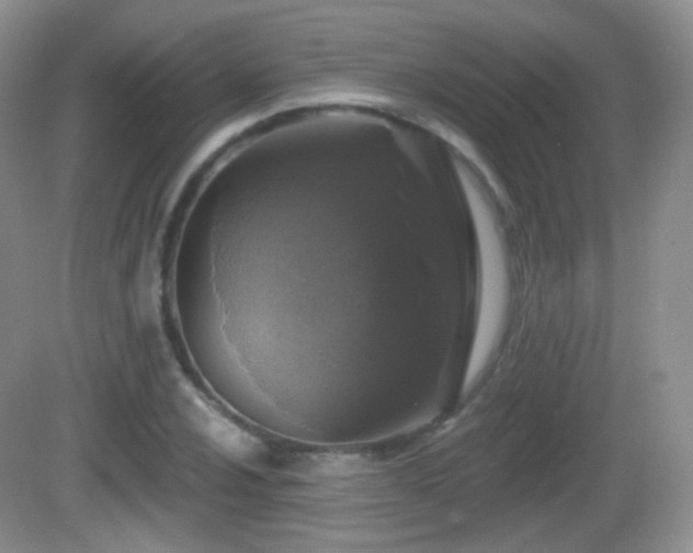 X0000082681024200702021221
