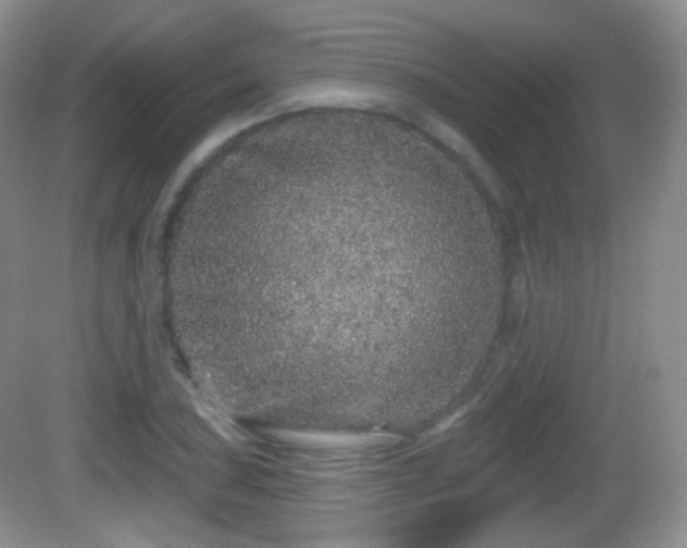 X0000082681027200702021221