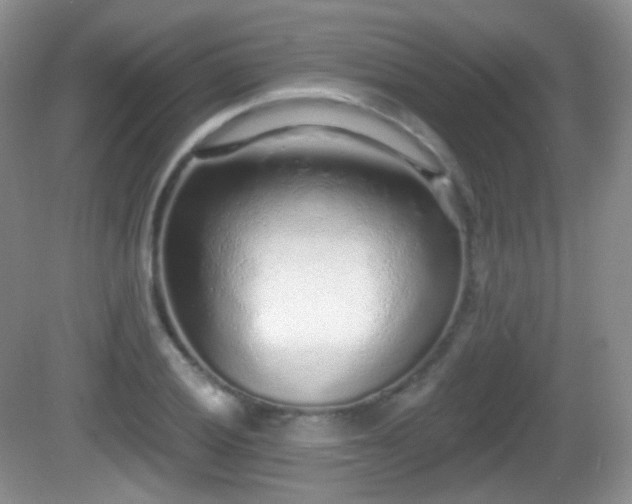 X0000082681028200702021221