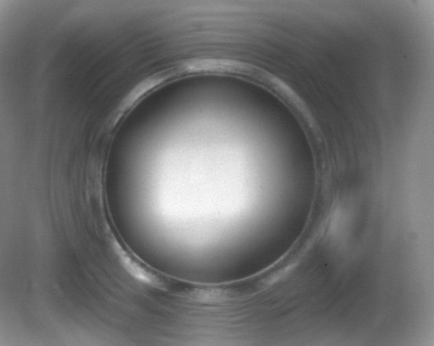 X0000082681041200702021221
