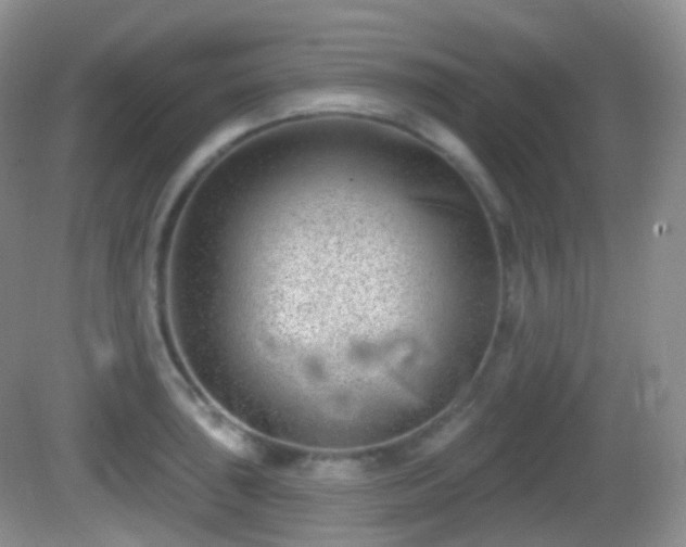 X0000082681043200702021221