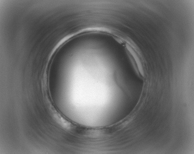 X0000082681044200702021221
