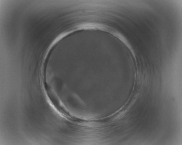 X0000082681045200702021221