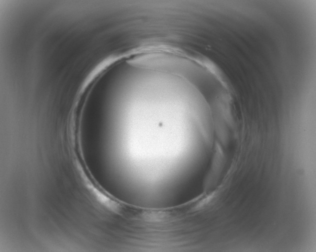 X0000082681046200702021221