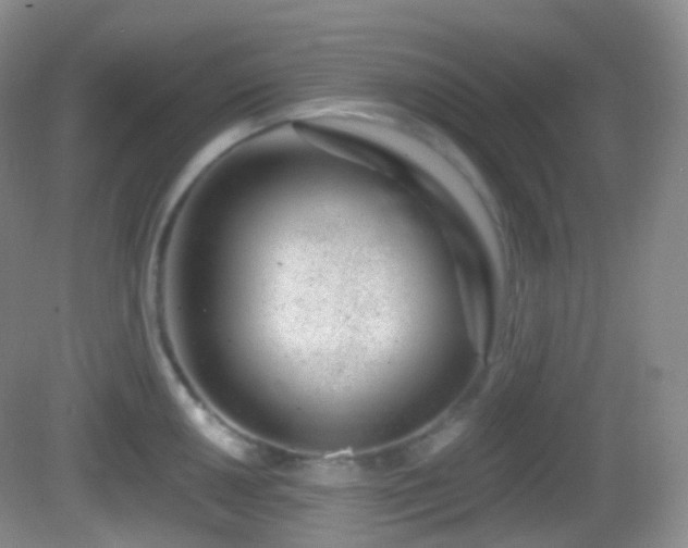 X0000082681050200702021221